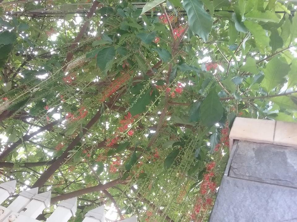 Nha Minh Homestay Da Nang Esterno foto