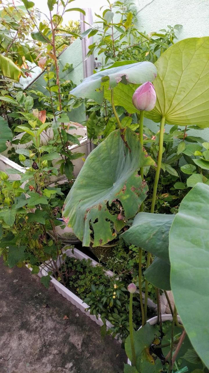 Nha Minh Homestay Da Nang Esterno foto