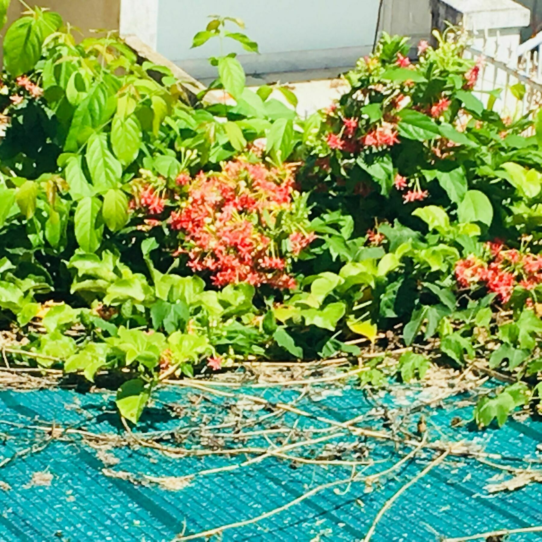 Nha Minh Homestay Da Nang Esterno foto